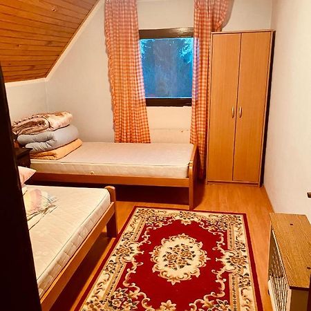 Petra Villa Kopaonik Kültér fotó