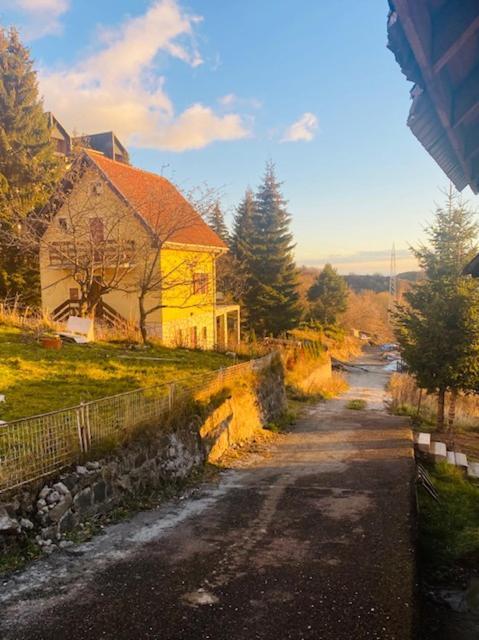 Petra Villa Kopaonik Kültér fotó