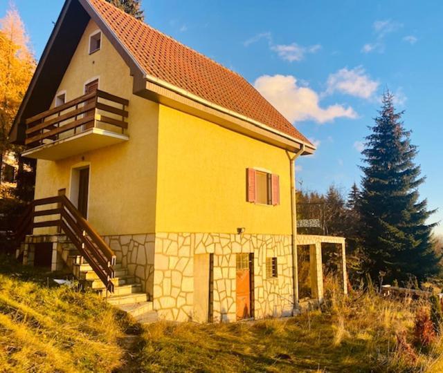 Petra Villa Kopaonik Kültér fotó