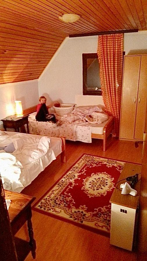 Petra Villa Kopaonik Kültér fotó